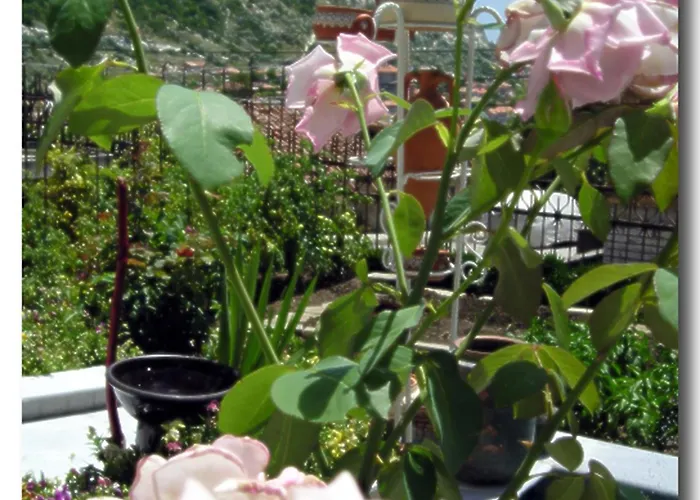 Maria 3* בלצ'יק